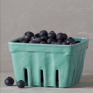 Anthropologie Teal Carton Size Large
